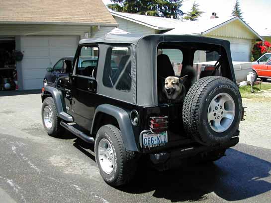 jeep back